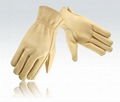 Driver Glove Beige Color