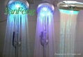 Multiple color LED shower 1