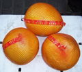 fresh pomelo 1