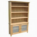 bookcase 1