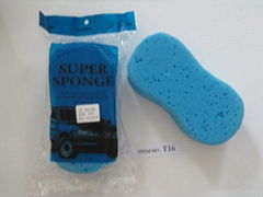 car sponge