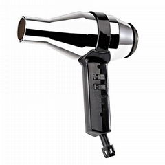 professional hair dryer 