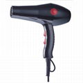 professional hair dryer