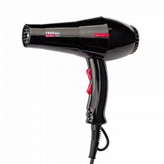 professional hair dryer 