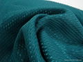 shinny fabric/bird-eye fabric/polyester