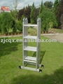 Multi-purpose ladder