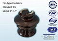 Pin Type Ceramic Insulator 1