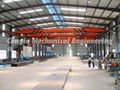 Single and Double Girder Overhead Crane