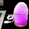 NATURAL WHITE SALT LAMPS 5