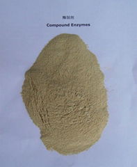 compound enzyme