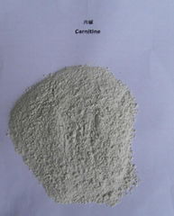 carnitine