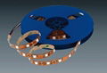 SMD RGB Flexible Strip ( Silicone tubing