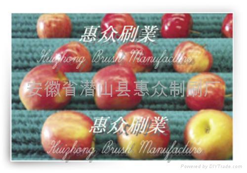 Food and Fruit Cleaning Brush Roll  3