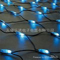 Led Net Light 1