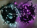 LED christmas string light 5