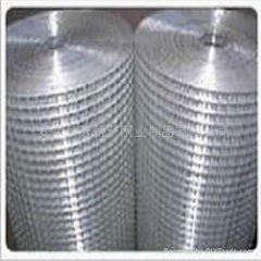 welded wire mesh