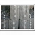 Welded Wire Mesh