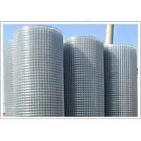 Welded Wire Mesh 3