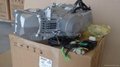 Anima Daytona 4v 150cc engine