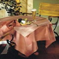 Table Cloth 1