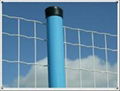 Welded Wire Mesh