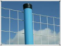 Welded Wire Mesh