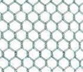 Hexagonal Wire Netting