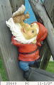 Polyresin garden gnome decoration 1