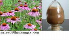 Echinacea purpurea extract