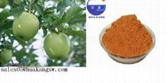 Apple extract