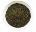 Sencha (Steamed Green Tea) 2