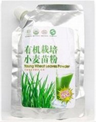 Organic wheat grass powder