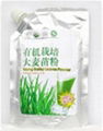 Organic wheat grass powder 2