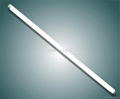 T5 fluorescent lamp