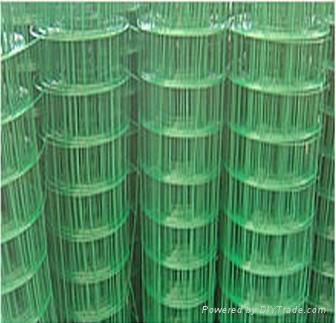 Welded wire mesh