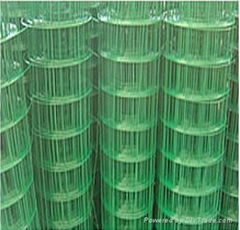 Welded wire mesh