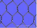 Hexagonal wire netting 1