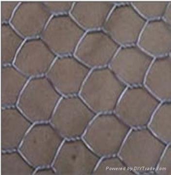 Hexagonal wire netting 3