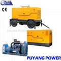 Diesel Generator