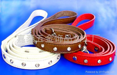 dog collar 2