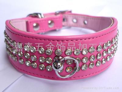 dog collar 5