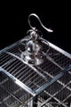 parrot cage Stainless steel bird cage 2