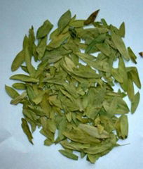 Sanna   Leaf   powder