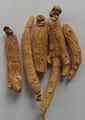 Organic ginseng root.etc