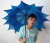 pagoda umbrella 1