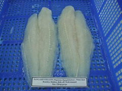 Frozen Pangasius fillet