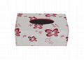 Tissue box--TS0812-050 1