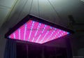 LED Grow Light