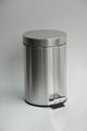 Stainless Steel Trash Can 1