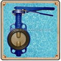 Butterfly Valve 1